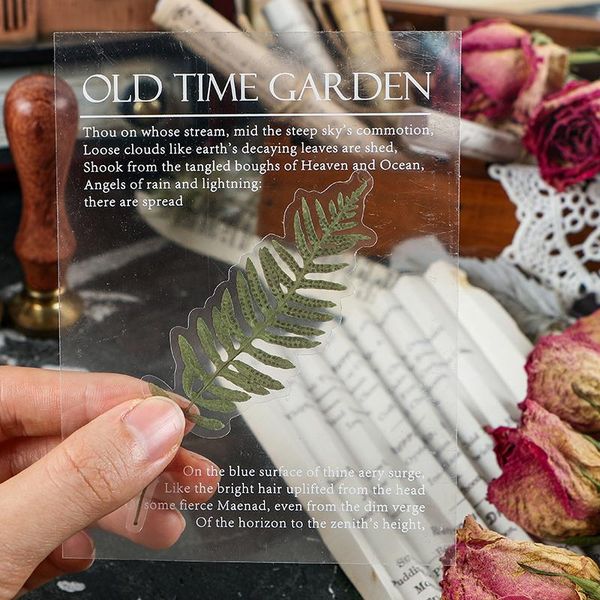 40pcs/pack old time garden series green plants pet sticker junk journal decoration stickers diy diary scrapbooking label sticker
40pcs/pack old time garden series green plants pet sticker junk journal decoration stickers diy diary scrapbooking label sticker