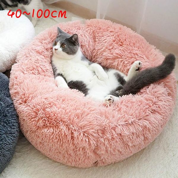 super soft dog bed round washable long plush dog kennel cat house velvet mats sofa for chihuahua basket pet bed
super soft dog bed round washable long plush dog kennel cat house velvet mats sofa for chihuahua basket pet bed