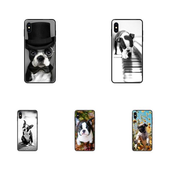 boston terrier pet dog puppies for iphone 11 12 pro xs max x 8 7 6s plus 5 se 11 12 xr se 2020 soft tpu fashion original
boston terrier pet dog puppies for iphone 11 12 pro xs max x 8 7 6s plus 5 se 11 12 xr se 2020 soft tpu fashion original