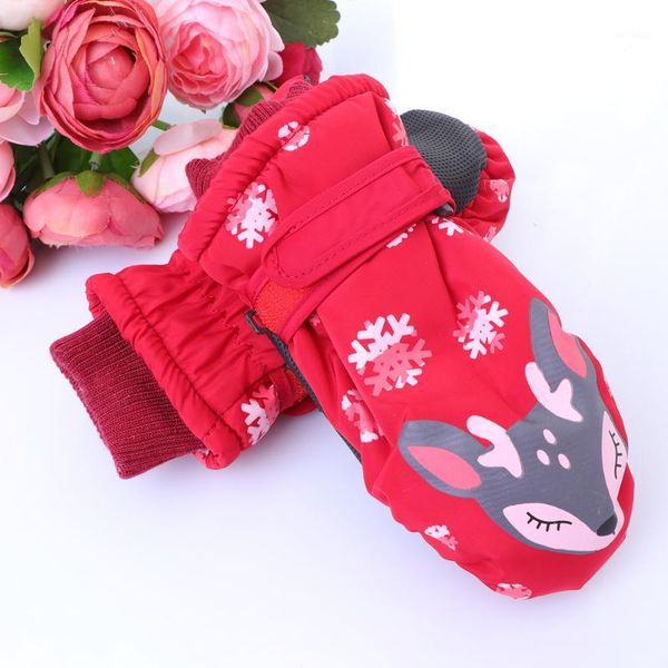 ski gloves warm outdoor children riding anti-slid windproof sports for mountain climbing hiking sports1
ski gloves warm outdoor children riding anti-slid windproof sports for mountain climbing hiking sports1