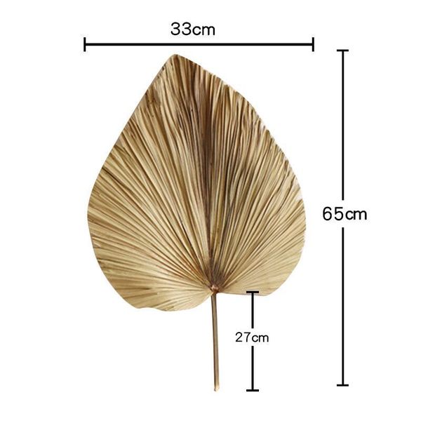 1pc dried flower, natural air-dried flower, pu fan leaf, home or shop or wedding soft display 1022
1pc dried flower, natural air-dried flower, pu fan leaf, home or shop or wedding soft display 1022