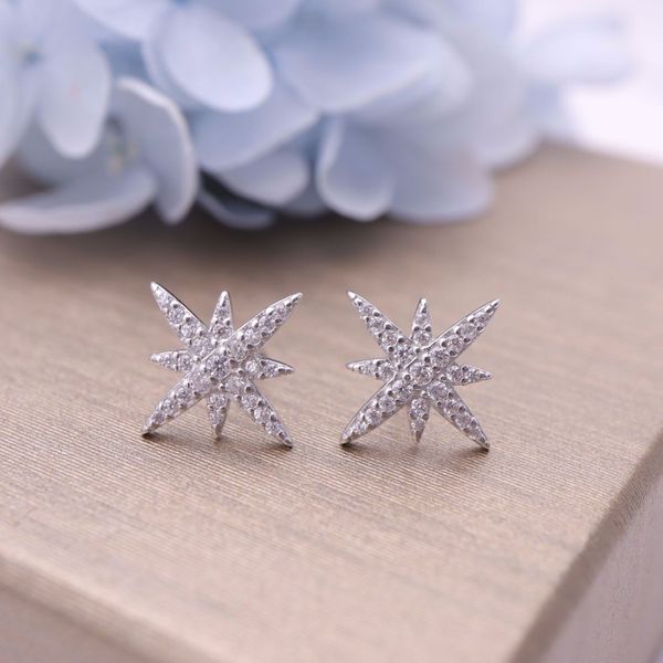 hengsheng s925 silver cross-border one product dropshipping polaris dipper korean style simple zircon stud earrings womens earrings
hengsheng s925 silver cross-border one product dropshipping polaris dipper korean style simple zircon stud earrings womens earrings