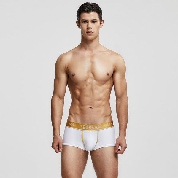 underpants men's underwear manufacturers sports boxer pants comfortable cotton, Black;white
underpants men's underwear manufacturers sports boxer pants comfortable cotton, Black;white