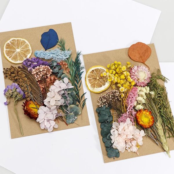 diy dried flowers resin mold fillings uv expoxy flower for nail art pressed flowers for home decor ha jllxpp
diy dried flowers resin mold fillings uv expoxy flower for nail art pressed flowers for home decor ha jllxpp