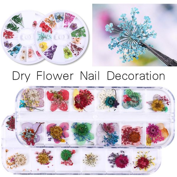 nail art decorations 1 box dried flowers leaf decoration natural floral sticker 3d dry beauty decals jewelry uv gel polish, Silver;gold
nail art decorations 1 box dried flowers leaf decoration natural floral sticker 3d dry beauty decals jewelry uv gel polish, Silver;gold