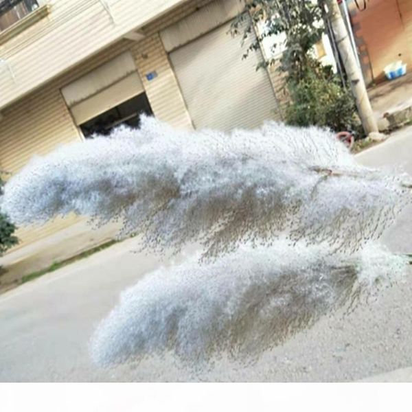 large pampas grass reed dried flower decoration gray wedding bouquet shop display window decoration pgraphic ins
large pampas grass reed dried flower decoration gray wedding bouquet shop display window decoration pgraphic ins