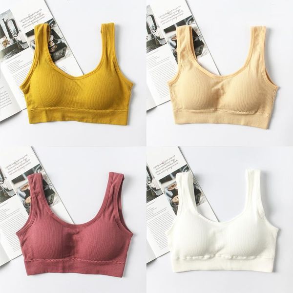 women underwear push up bra wireless adjustable lace women's bra breast brassiere bralette female tube underwear1, Red;black
women underwear push up bra wireless adjustable lace women's bra breast brassiere bralette female tube underwear1, Red;black
