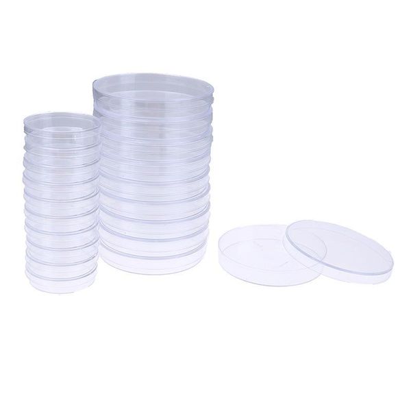 10pcs 60mm polystyrene sterile petri bacteria dish laboratory medical supply 10 jllpzh
10pcs 60mm polystyrene sterile petri bacteria dish laboratory medical supply 10 jllpzh