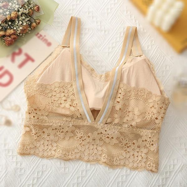new fashion ladies 3/4 cup lace push up bra black bralette v-shaped women bra underwear lace big size, Red;black
new fashion ladies 3/4 cup lace push up bra black bralette v-shaped women bra underwear lace big size, Red;black