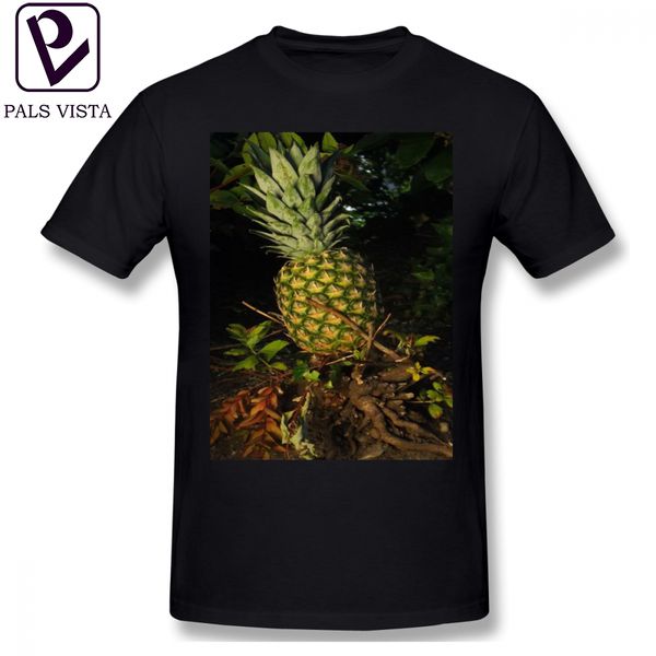 pineapple pretty plump pineapple on stuff you love short sleeves awesome graphic oversized sport hooded sweatshirt hoodie t shirt
pineapple pretty plump pineapple on stuff you love short sleeves awesome graphic oversized sport hooded sweatshirt hoodie t shirt