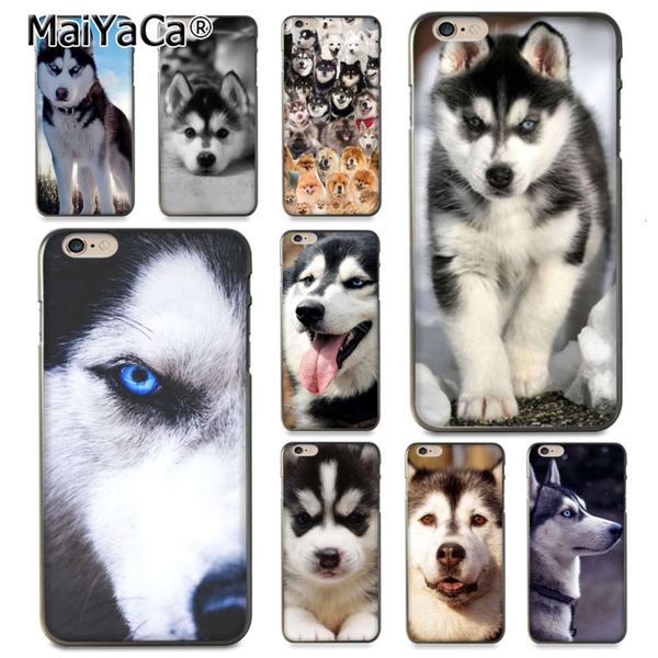 qahusky pet dog mobile phone cover, suitable for vip 12, 11 pro, 8, 7, 6, 6s plus, x, 5, xs, xr, xsmaxlk
qahusky pet dog mobile phone cover, suitable for vip 12, 11 pro, 8, 7, 6, 6s plus, x, 5, xs, xr, xsmaxlk