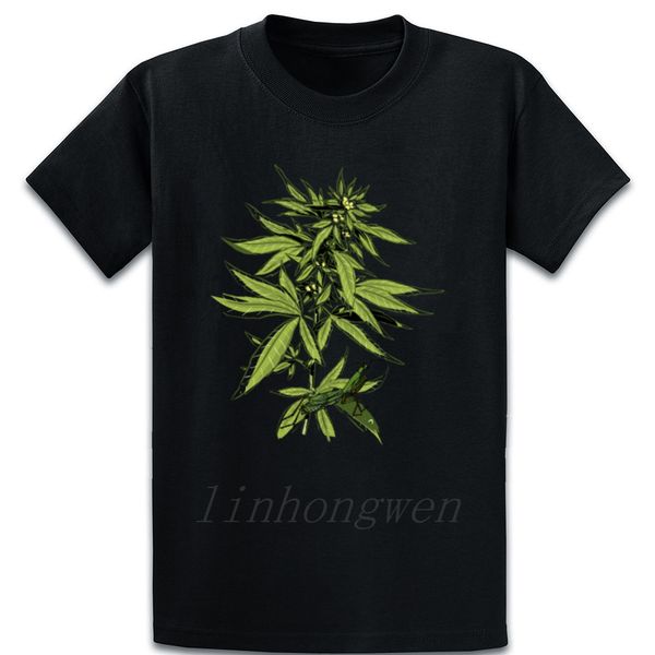 mantis insects flower gift spring autumn pattern xxxxxl outfit graphic funny casual design sport hooded sweatshirt hoodie t shirt
mantis insects flower gift spring autumn pattern xxxxxl outfit graphic funny casual design sport hooded sweatshirt hoodie t shirt
