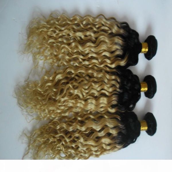 7a grade virgin unprocessed kinky curly hair extensions t1b 613 ombre hair 10-30" brazilian curly blonde hair extensions, Black
7a grade virgin unprocessed kinky curly hair extensions t1b 613 ombre hair 10-30" brazilian curly blonde hair extensions, Black