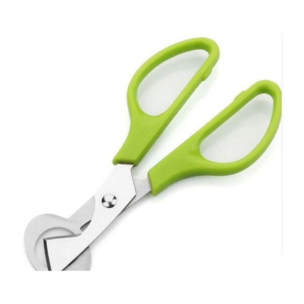 stainless steel pigeon quail egg shells scissors bird cutter opener egg slicers cigar cutter jllsme homeindustry
stainless steel pigeon quail egg shells scissors bird cutter opener egg slicers cigar cutter jllsme homeindustry