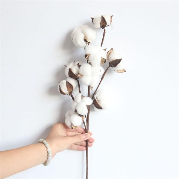 decorative flowers & wreaths artificial flower kapok cotton head for wedding christmas home decoration diy craft wreath scrapbook dried #121
decorative flowers & wreaths artificial flower kapok cotton head for wedding christmas home decoration diy craft wreath scrapbook dried #121