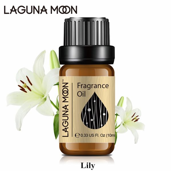 lagunamoon lily 10ml fragrance oil orange blossom ia natural plant oil aroma flowers series air fresh diffuser perfume
lagunamoon lily 10ml fragrance oil orange blossom ia natural plant oil aroma flowers series air fresh diffuser perfume