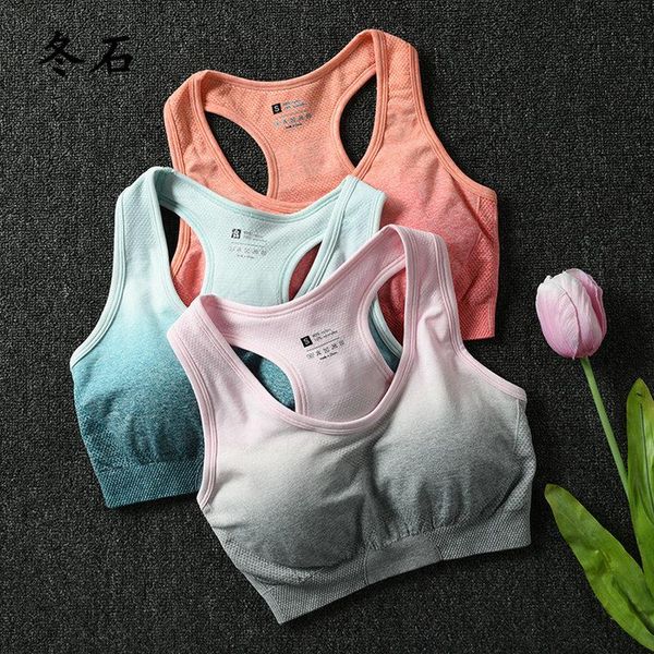 energy seamless sports bra for women push up yoga bras gym crop orange racerback workout fitness active wear kg-486, White;black
energy seamless sports bra for women push up yoga bras gym crop orange racerback workout fitness active wear kg-486, White;black