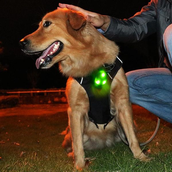 1шт led pet ошейники подвеска безопасности мигающий свет свечение мигающим светодиодом ошейник подвеска для собак pet puppy огни ошейники 30
1шт led pet ошейники подвеска безопасности мигающий свет свечение мигающим светодиодом ошейник подвеска для собак pet puppy огни ошейники 30