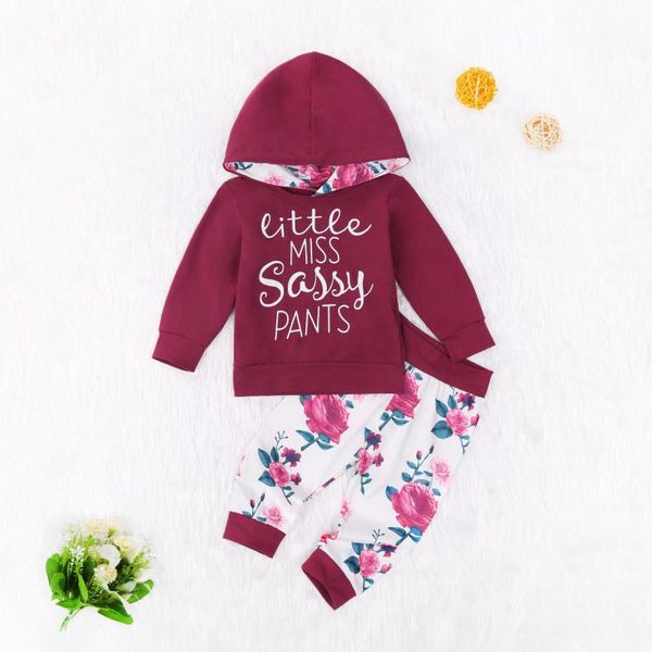 clothing sets baby girl floral hoodie trousers suit flower printed v-neck long sleeve hooded hat loose jogger pants, White
clothing sets baby girl floral hoodie trousers suit flower printed v-neck long sleeve hooded hat loose jogger pants, White