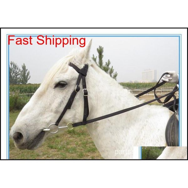 fullset horse halter bridle pony fixed rein belt durable horse riding acc qyluqr yh_pack
fullset horse halter bridle pony fixed rein belt durable horse riding acc qyluqr yh_pack