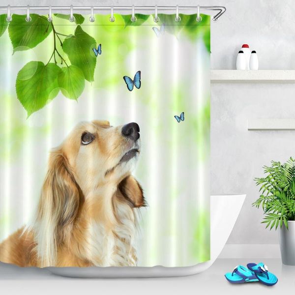 lb funny dachshund with blue butterflies shower curtain shiny green leaves waterproof custom bathroom fabric for bathtub decor
lb funny dachshund with blue butterflies shower curtain shiny green leaves waterproof custom bathroom fabric for bathtub decor