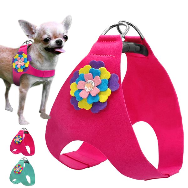 soft leather suede harness cute floral vest cat chihuahua dog york shihtzu blue pink xs m l
soft leather suede harness cute floral vest cat chihuahua dog york shihtzu blue pink xs m l
