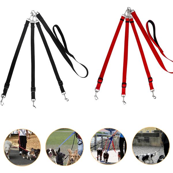 good quality home pet belt 3 in 1 dog leashes for multiple dogs adjustable detachable nylon dog leash with padded handle 1020
good quality home pet belt 3 in 1 dog leashes for multiple dogs adjustable detachable nylon dog leash with padded handle 1020