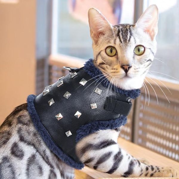 cool puppy cat harness clothes soft no pull padded pet chihuahua french bulldog harness vest adjustable for small med wmtdlp
cool puppy cat harness clothes soft no pull padded pet chihuahua french bulldog harness vest adjustable for small med wmtdlp
