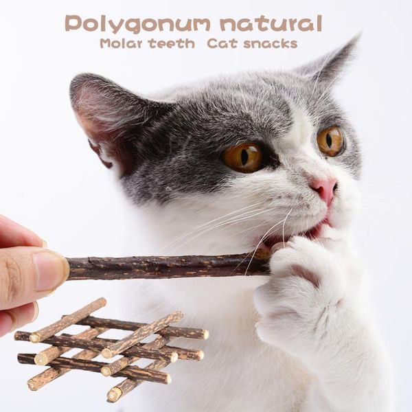 10pcs polygonum natural wood pet cat toy safety molar toothpaste branch cleaning teeth cat sticks pet supplies gato1
10pcs polygonum natural wood pet cat toy safety molar toothpaste branch cleaning teeth cat sticks pet supplies gato1