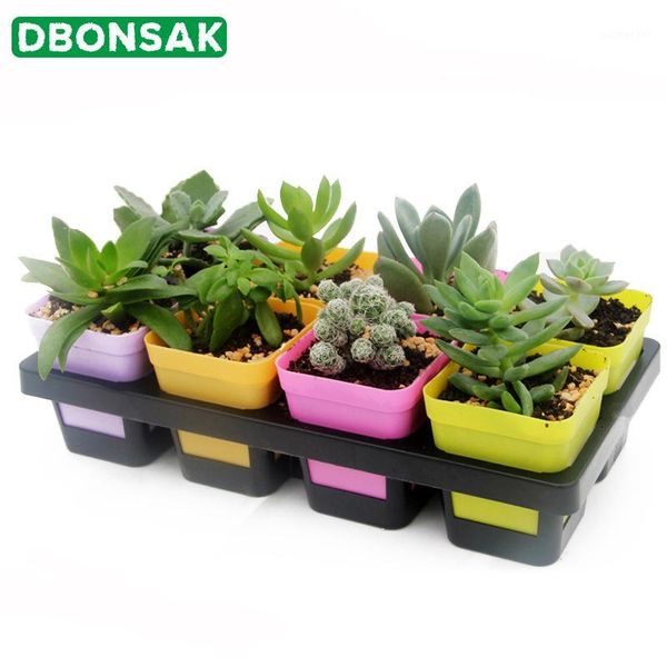 8/20/24 hole tray cells grid plastic flowerpot plant pot seed tray for cactus succulant bean sprouts seedlings small flowers1
8/20/24 hole tray cells grid plastic flowerpot plant pot seed tray for cactus succulant bean sprouts seedlings small flowers1