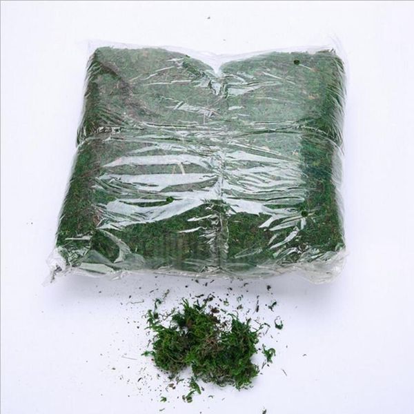 40g/bag artificial flower dried reindeer moss for garden home decoration diy craft flower bonsai basket plant wedding tu bbykkk
40g/bag artificial flower dried reindeer moss for garden home decoration diy craft flower bonsai basket plant wedding tu bbykkk