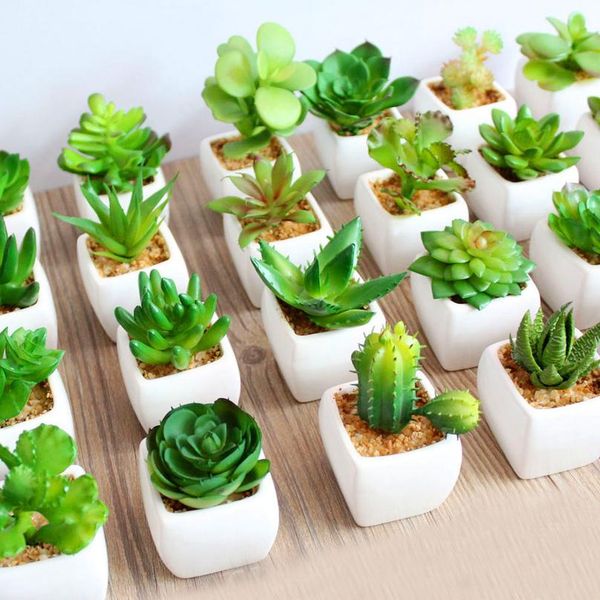 39styles green artificial succulents plants for home garden decoration wedding plants wall flower arrangement bonsai fak bbybaq
39styles green artificial succulents plants for home garden decoration wedding plants wall flower arrangement bonsai fak bbybaq