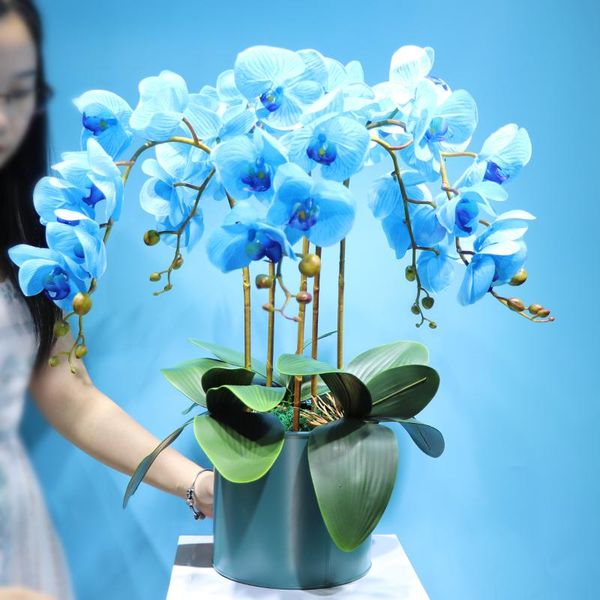 - (5 orchid+3 leaf + pot) blue orchids diy flower arrangment real touch office event centerpiece drop decorative flowers & wreaths
- (5 orchid+3 leaf + pot) blue orchids diy flower arrangment real touch office event centerpiece drop decorative flowers & wreaths