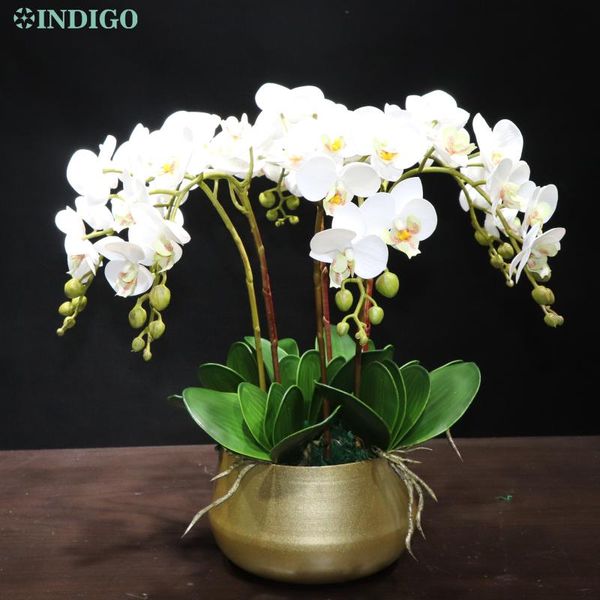 indigo- white orchid (7шт orchid + 5шт листья + pot) diy цветок arrangment real сенсорный цветок отделка офиса event centerpiece
indigo- white orchid (7шт orchid + 5шт листья + pot) diy цветок arrangment real сенсорный цветок отделка офиса event centerpiece