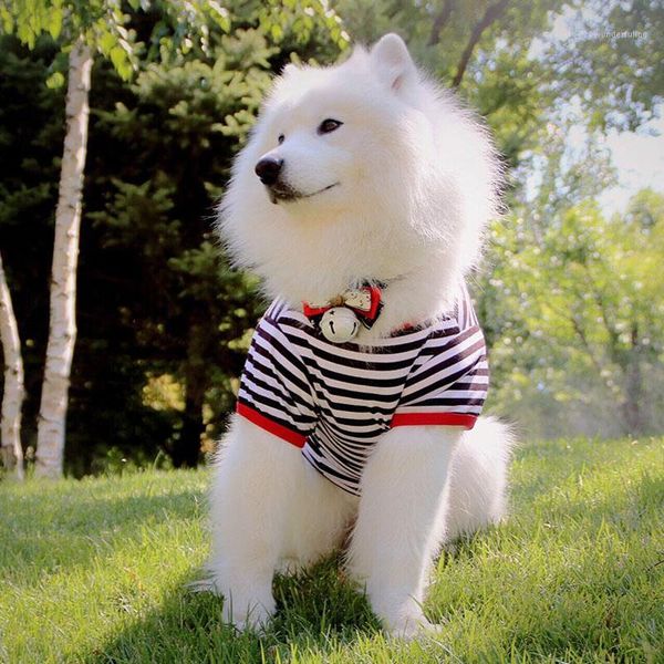 wear thin section large breed puppy dog clothes big dog samoyeds golden retriever vest on summer medium-sized1
wear thin section large breed puppy dog clothes big dog samoyeds golden retriever vest on summer medium-sized1
