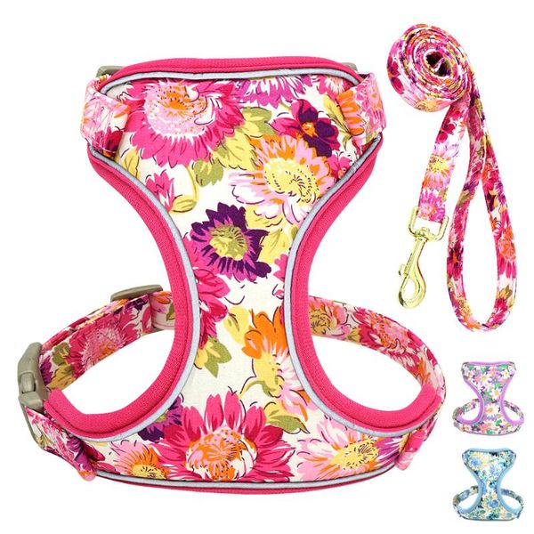 cat collars & leads nylon dog harness floral printed vest and leash set for small medium dogs pet walking lead
cat collars & leads nylon dog harness floral printed vest and leash set for small medium dogs pet walking lead