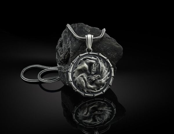 men's round dragon necklace nordic double pterosaur pendant amulet tag sweater chain, Silver
men's round dragon necklace nordic double pterosaur pendant amulet tag sweater chain, Silver