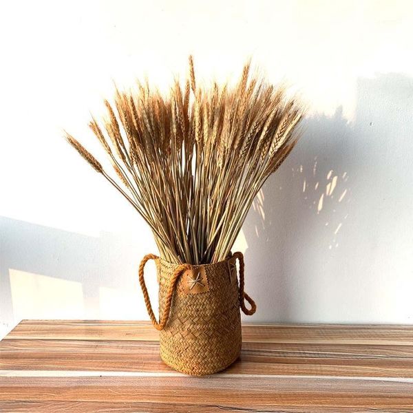 50pcs/lot real wheat ear flower include hand woven basket natural dried flowers wedding home decoration wheat bouquet1
50pcs/lot real wheat ear flower include hand woven basket natural dried flowers wedding home decoration wheat bouquet1