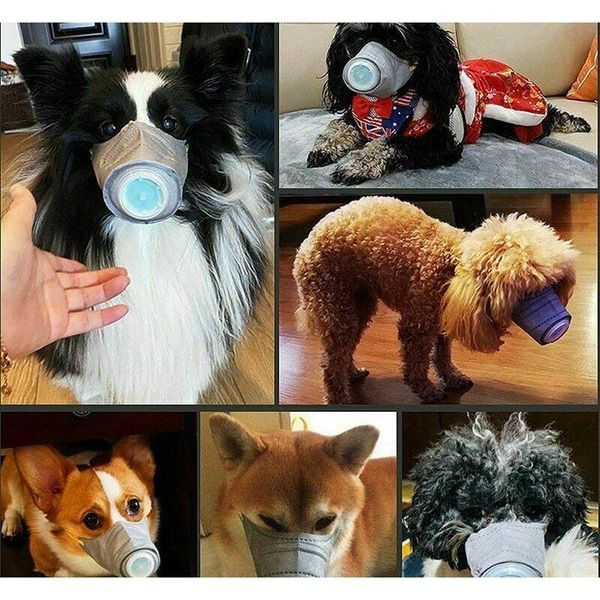 pet masks dogs go out breathing dust mouth cover new protective mask anti-fog haze cover with valve jllbin xmhyard
pet masks dogs go out breathing dust mouth cover new protective mask anti-fog haze cover with valve jllbin xmhyard