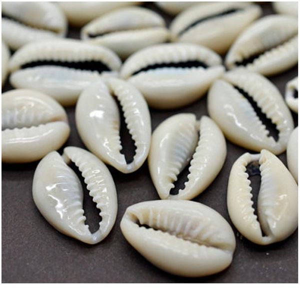 50pcs cut conch sea shell cowrie cowry charm beads beach jewelry findings anklet pendant diy craft women necklac jllgvo
50pcs cut conch sea shell cowrie cowry charm beads beach jewelry findings anklet pendant diy craft women necklac jllgvo