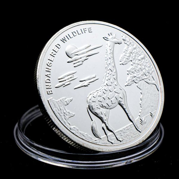 10pcs non magnetic silver plated endangered wildlife giraffe african congo franc animal souvenirs coin medal collectible coins gift
10pcs non magnetic silver plated endangered wildlife giraffe african congo franc animal souvenirs coin medal collectible coins gift