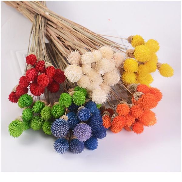 15pcs artificial flower strawberrie grass dried flower bouquet handmade for wedding home christmas decoration diy wreat jlljiz
15pcs artificial flower strawberrie grass dried flower bouquet handmade for wedding home christmas decoration diy wreat jlljiz