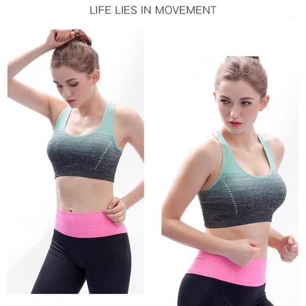 gym clothing push up sports bra high impact running padded women seamless brassiere sport for yoga fitness workout active wear1, White;black
gym clothing push up sports bra high impact running padded women seamless brassiere sport for yoga fitness workout active wear1, White;black