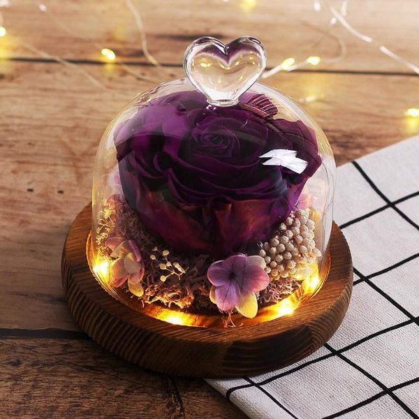 led lamp rose in glass dome exclusive rose immortal flower birthday eternal mother day presentpurple
led lamp rose in glass dome exclusive rose immortal flower birthday eternal mother day presentpurple