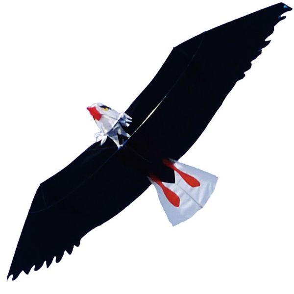 3d eagle kite with handle line eagle kite bar kid kite surfing hcxkite factory 1018
3d eagle kite with handle line eagle kite bar kid kite surfing hcxkite factory 1018