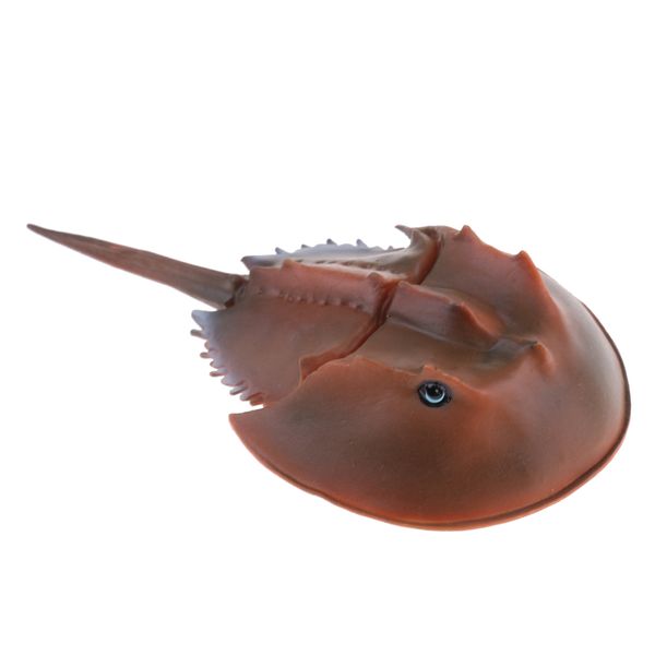 simulation horseshoe crab animal model action figures toys kid educational nature toy home office collectibles decoration
simulation horseshoe crab animal model action figures toys kid educational nature toy home office collectibles decoration