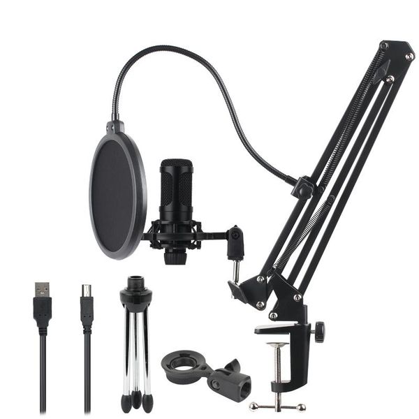 condenser microphone usb microphone karaoke recording with cantilever bracket tripod plug and play for lapdeskpc
condenser microphone usb microphone karaoke recording with cantilever bracket tripod plug and play for lapdeskpc
