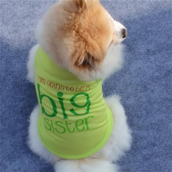 dog apparel hsu cute summer pet puppy small medium cat clothes vest t shirt for dogs sweet outerwear clothing
dog apparel hsu cute summer pet puppy small medium cat clothes vest t shirt for dogs sweet outerwear clothing