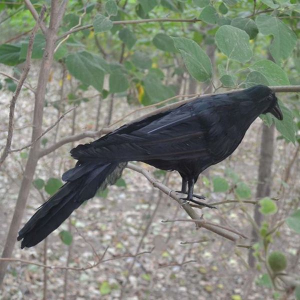 bird black prop raven ворона декор искусство для хэллоуина дисплей событие вечеринка бар украшения инструменты подарочный призрак фестиваль
bird black prop raven ворона декор искусство для хэллоуина дисплей событие вечеринка бар украшения инструменты подарочный призрак фестиваль