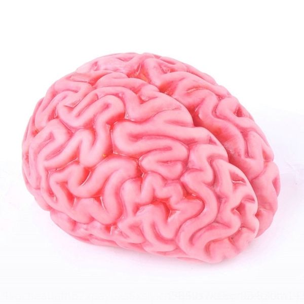 hzfk4 wansheng festival supplies blood ghost artificial horror decoration and festival props brain props stereo brain nqe6j
hzfk4 wansheng festival supplies blood ghost artificial horror decoration and festival props brain props stereo brain nqe6j